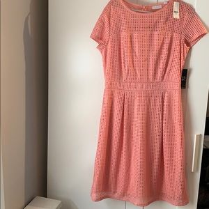 Woman’s dress size large